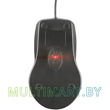 Комплект клавиатура + мышь Trust Classicline wired keyboard and mouse (21392) картинка 7
